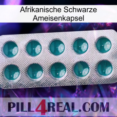 Africa Black Ant Capsule dapoxetine1